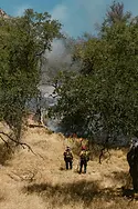 הגישו מועמדות כעת | אקדמיית הקיץ למנהיגים צעירים 2026:
שינויי אקלים וביטחון