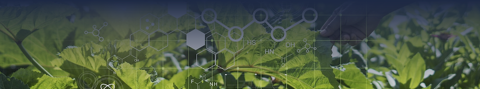 research_bg-7.png